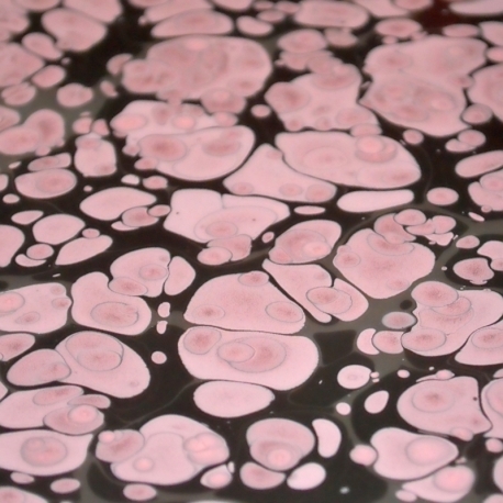 Ebru gamtiniai marmuravimo dažai - rožinė