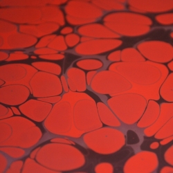 Ebru gamtiniai marmuravimo dažai - raudona kadmio