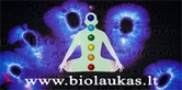Biolaukas Artūras Dabkevičius