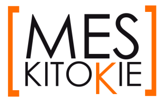 VsI Mes kitokie